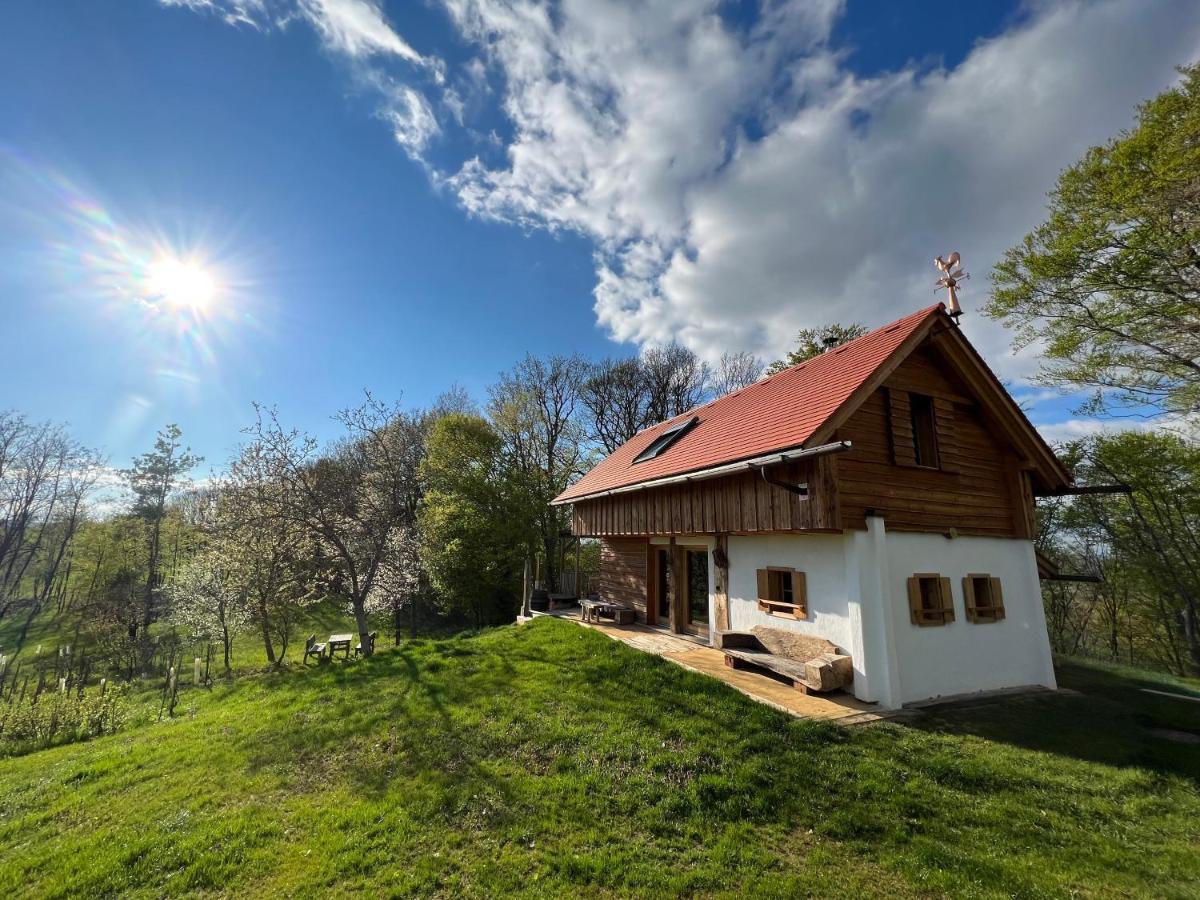 Kellerstoeckl Huetter Villa Gussing Exterior photo